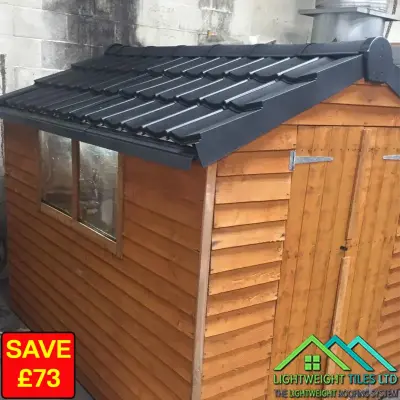 10 x 6 Black shed saving